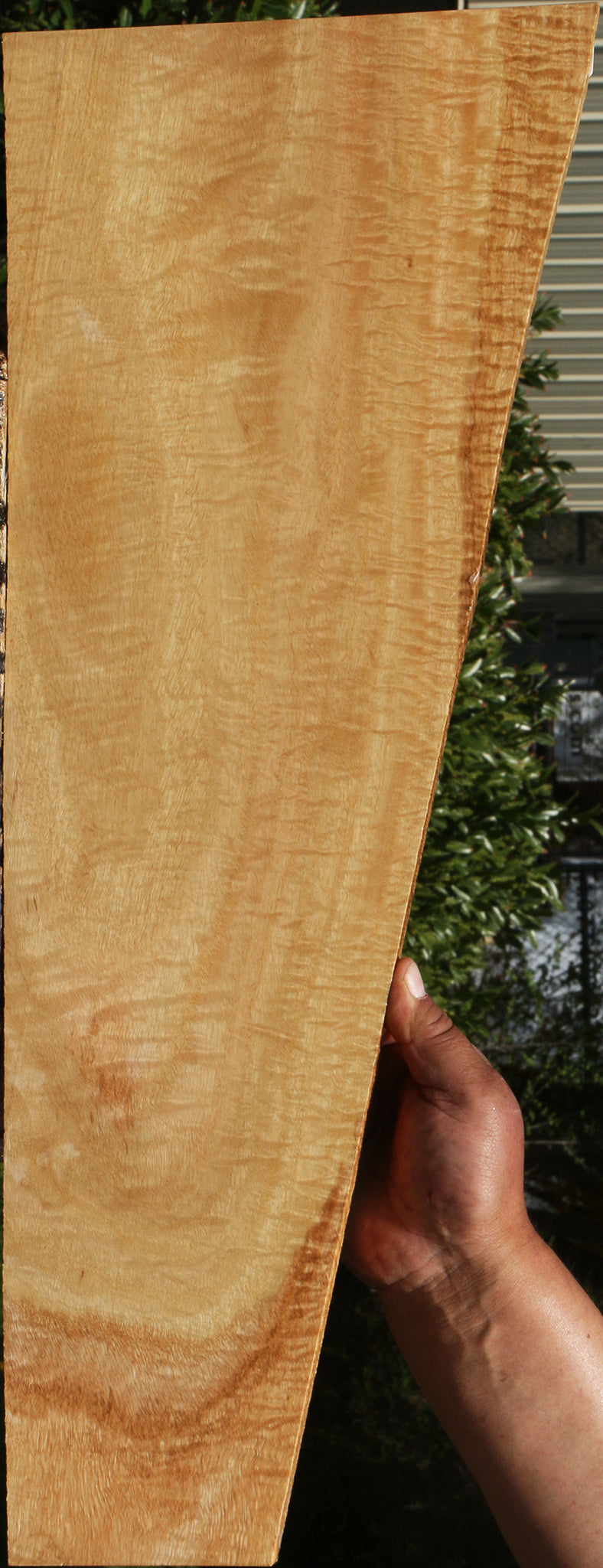 Extra Fancy Eucalyptus Lumber