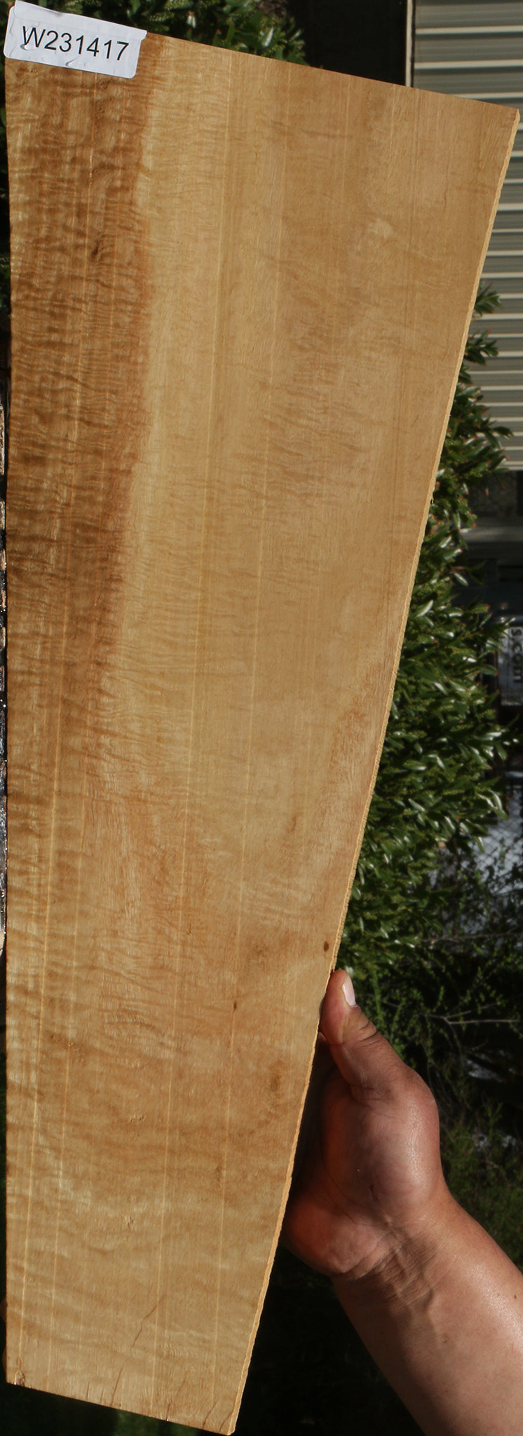 Extra Fancy Eucalyptus Lumber