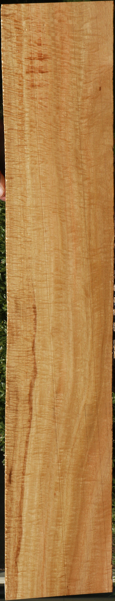 Extra Fancy Eucalyptus Lumber