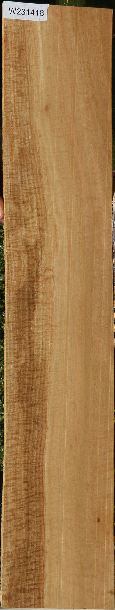 Extra Fancy Eucalyptus Lumber