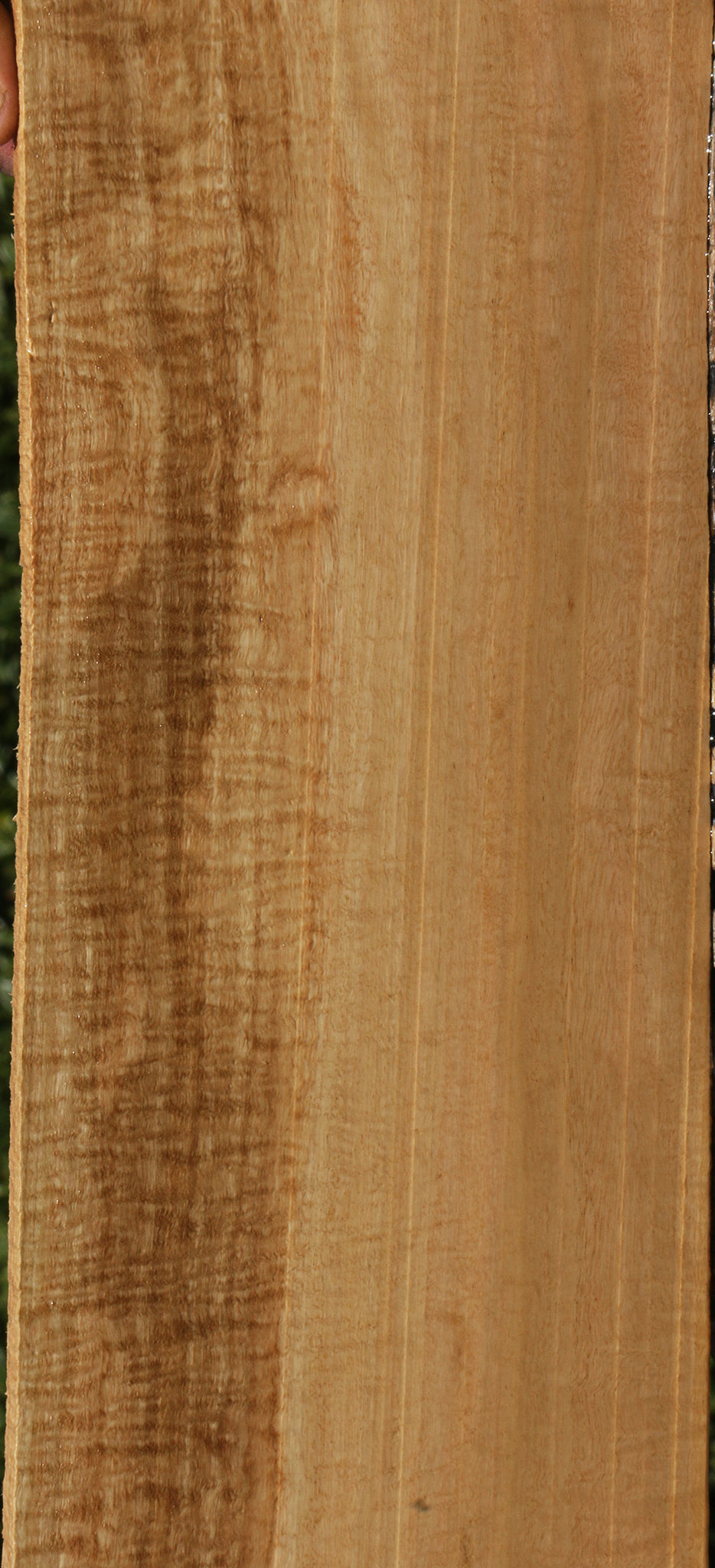 Extra Fancy Eucalyptus Lumber