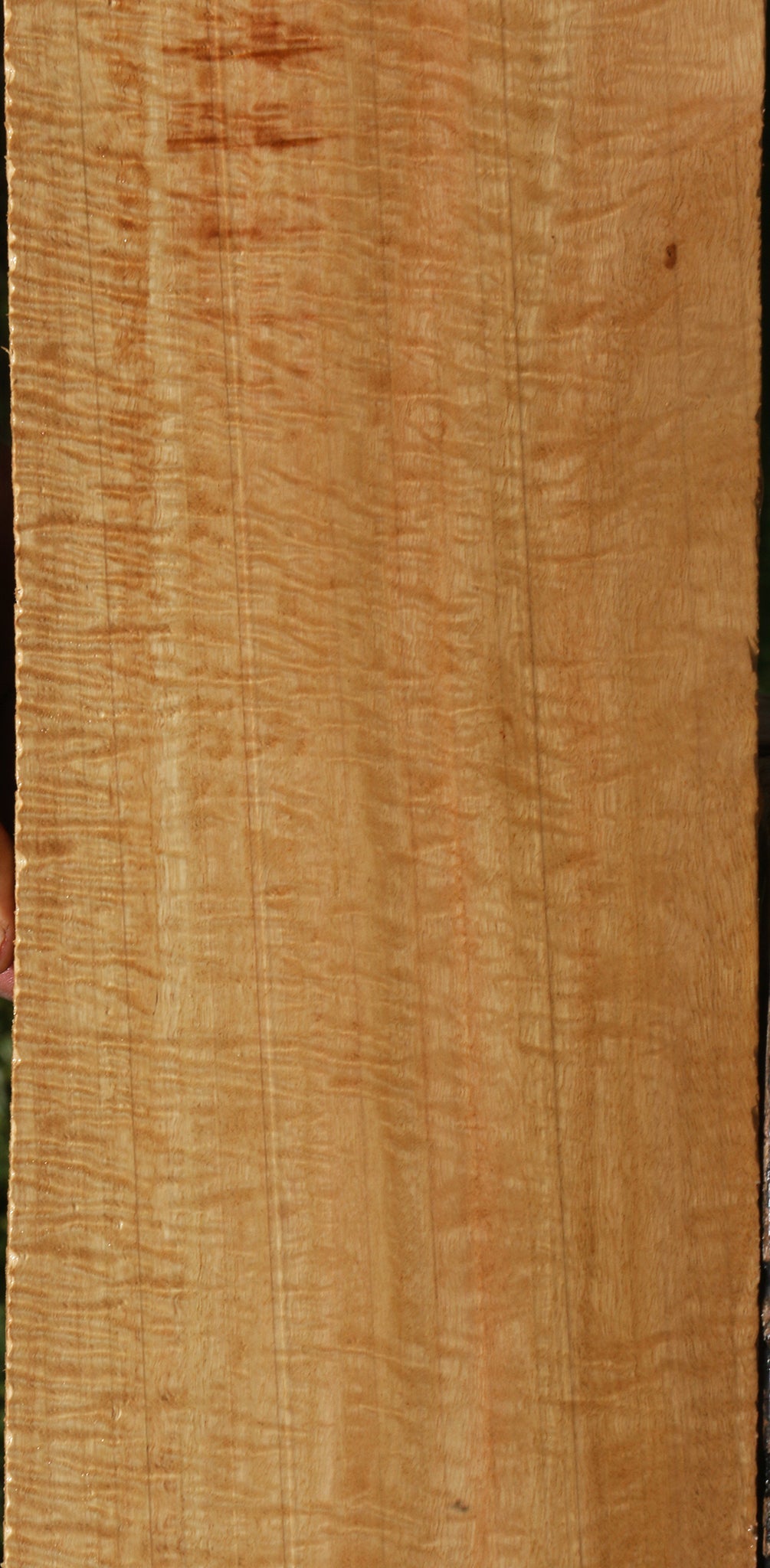 Extra Fancy Eucalyptus Lumber