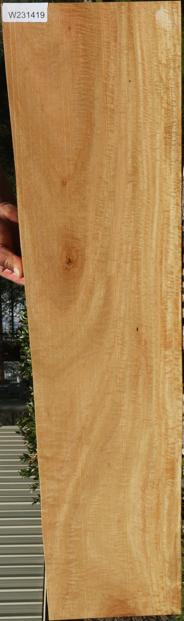 Extra Fancy Eucalyptus Lumber