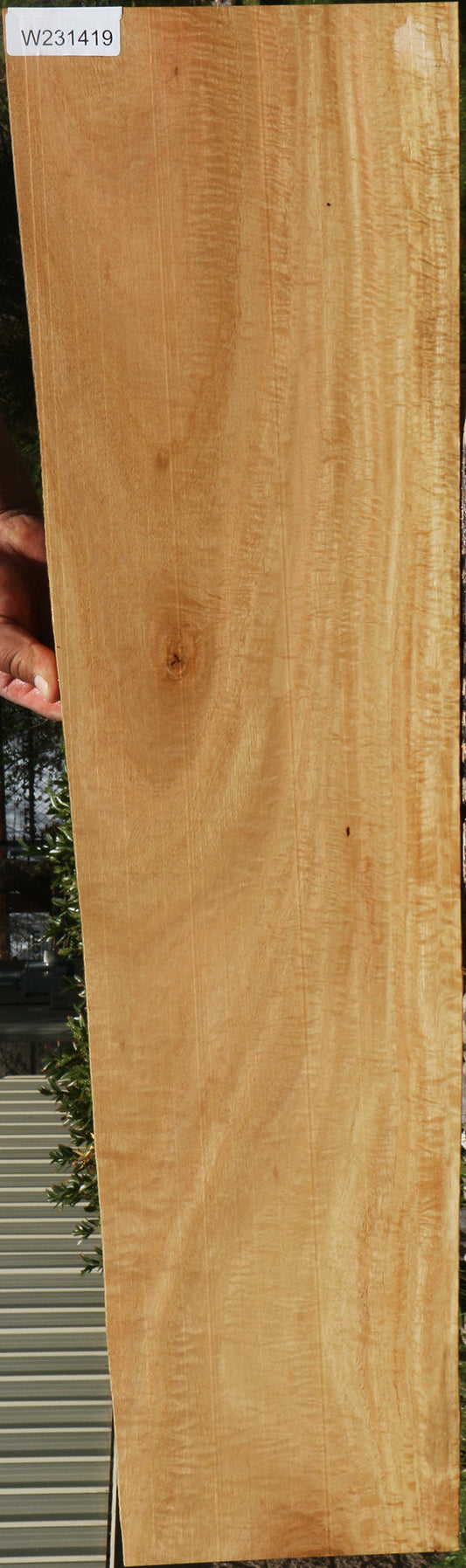 Extra Fancy Eucalyptus Lumber