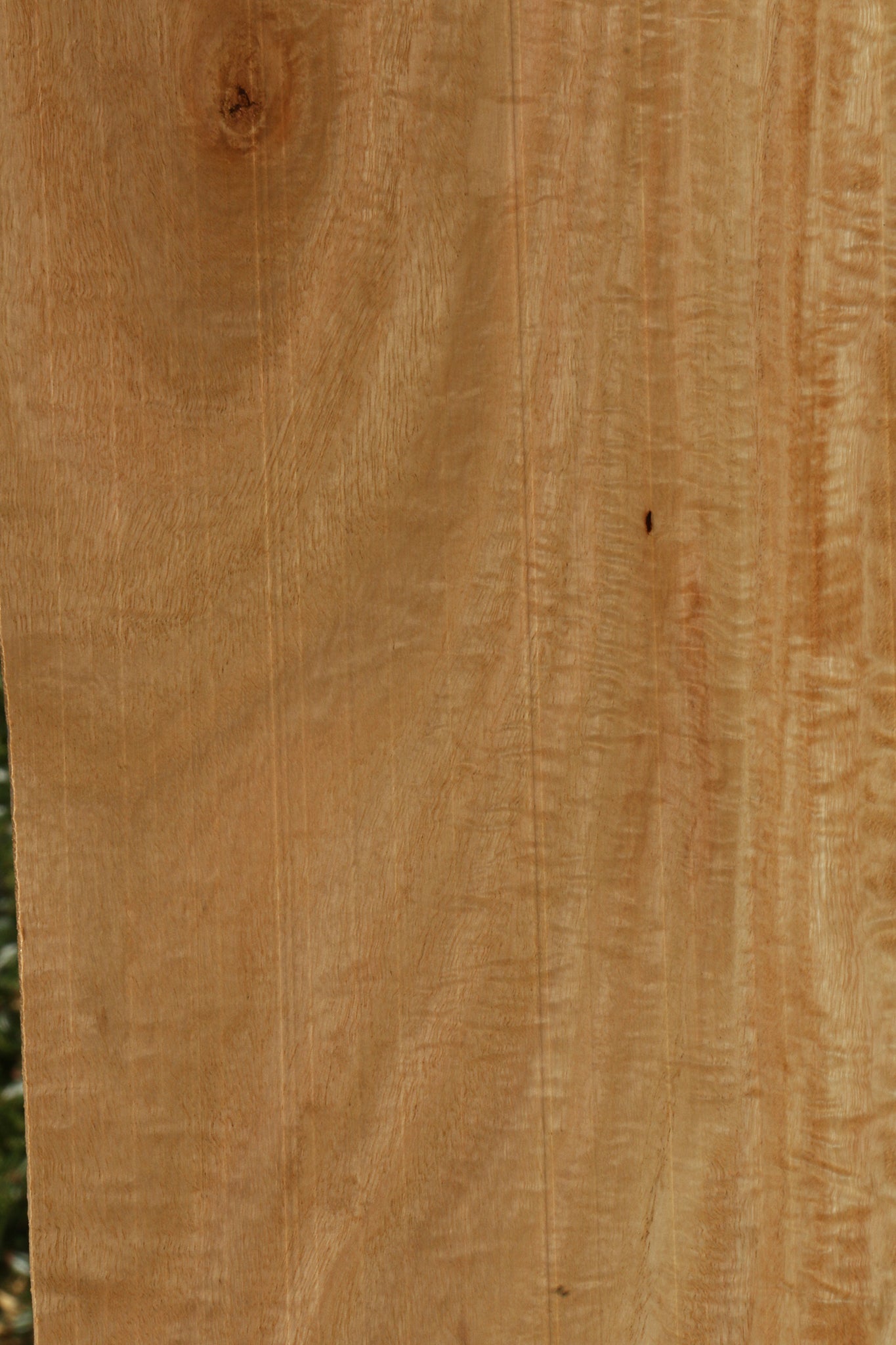 Extra Fancy Eucalyptus Lumber