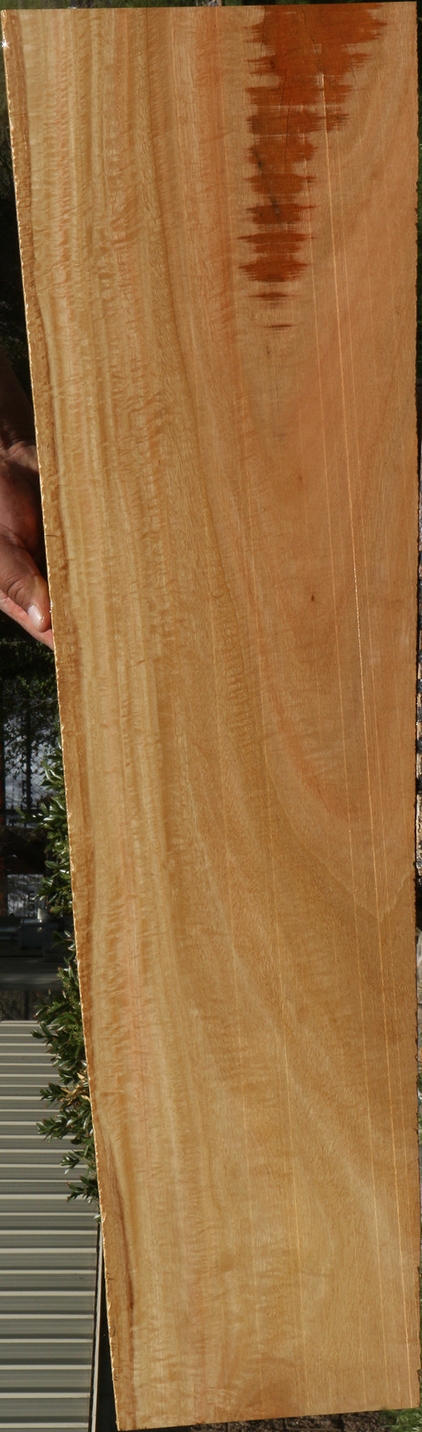 Extra Fancy Eucalyptus Lumber