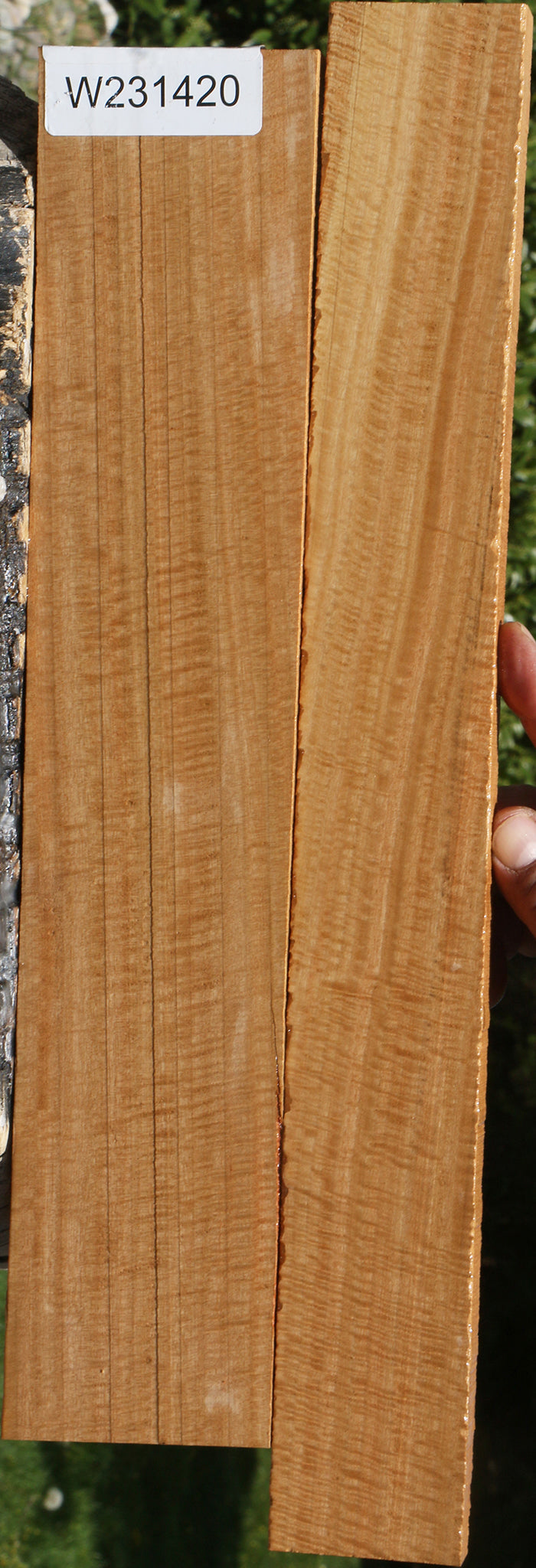 Eucalyptus Lumber 2 Pack