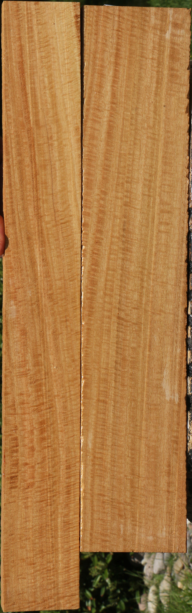 Eucalyptus Lumber 2 Pack