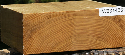 Black Locust Bowl Blank