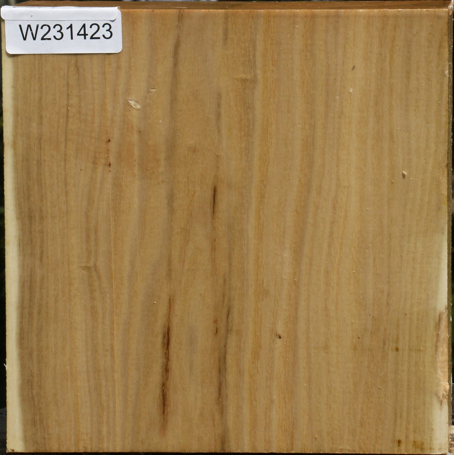 Black Locust Bowl Blank