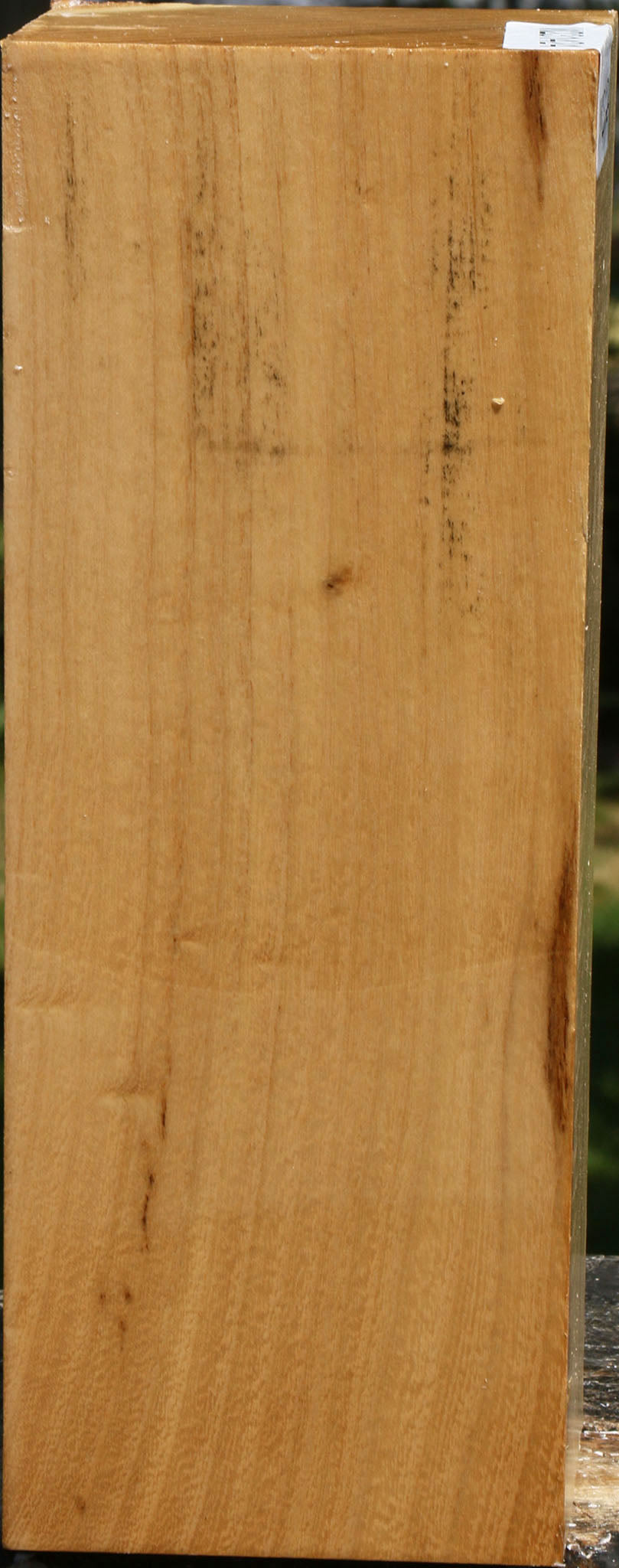 Figured Black Locust Vessel Blank – Cook Woods