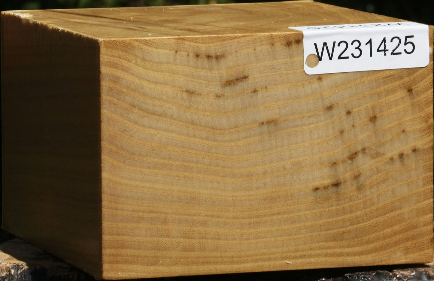 Black Locust Bowl Blank