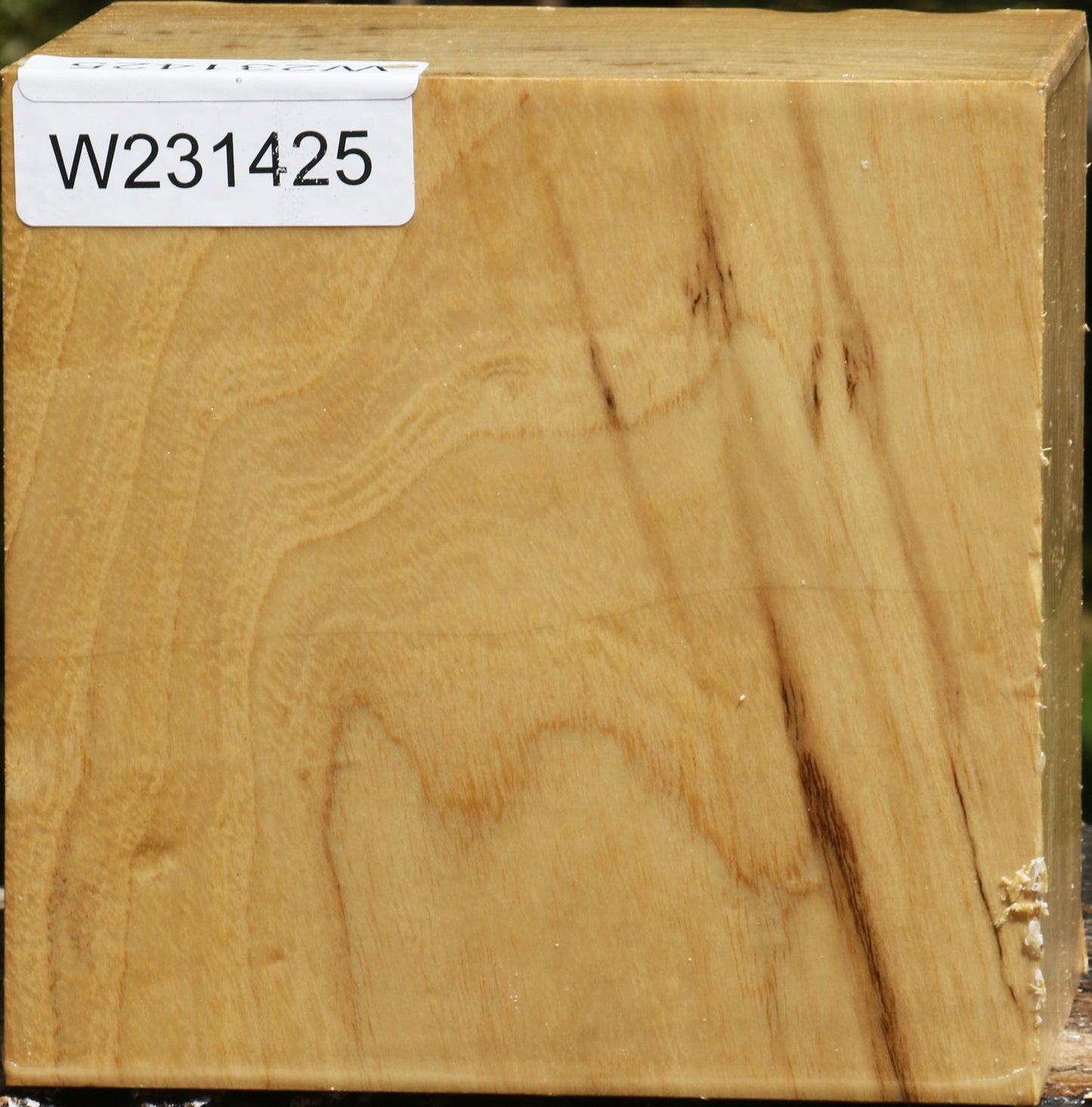 Black Locust Bowl Blank