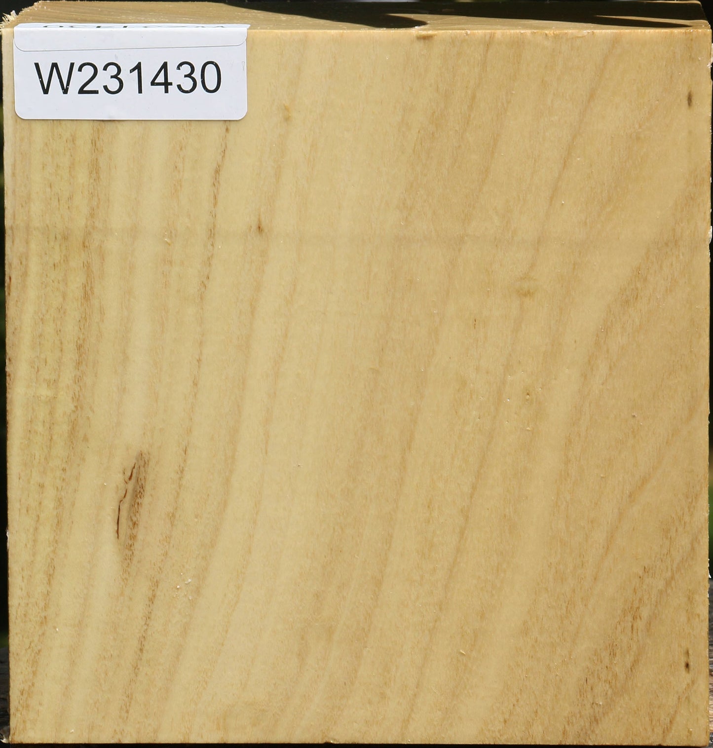 Black Locust Bowl Blank