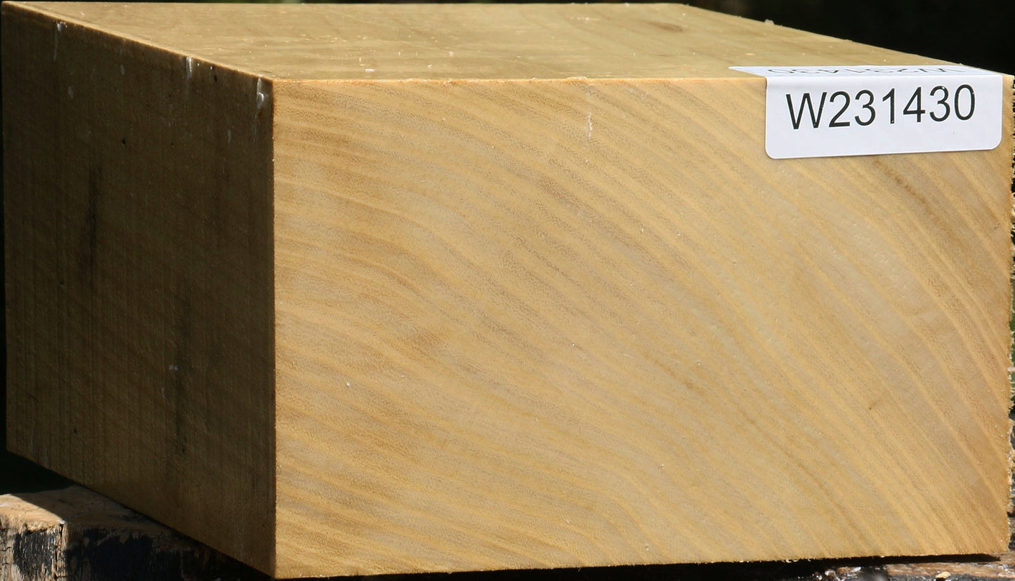 Black Locust Bowl Blank