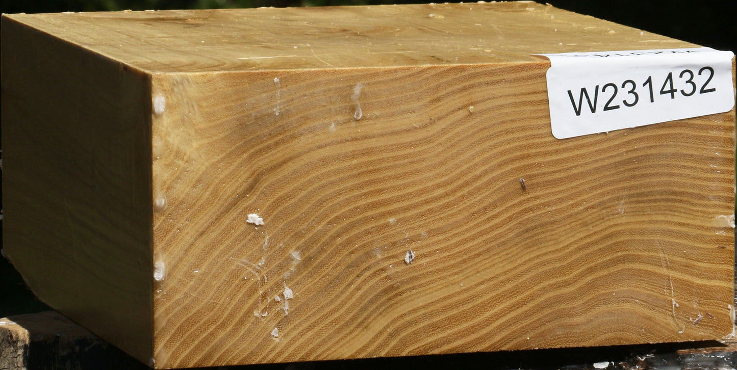 Black Locust Bowl Blank