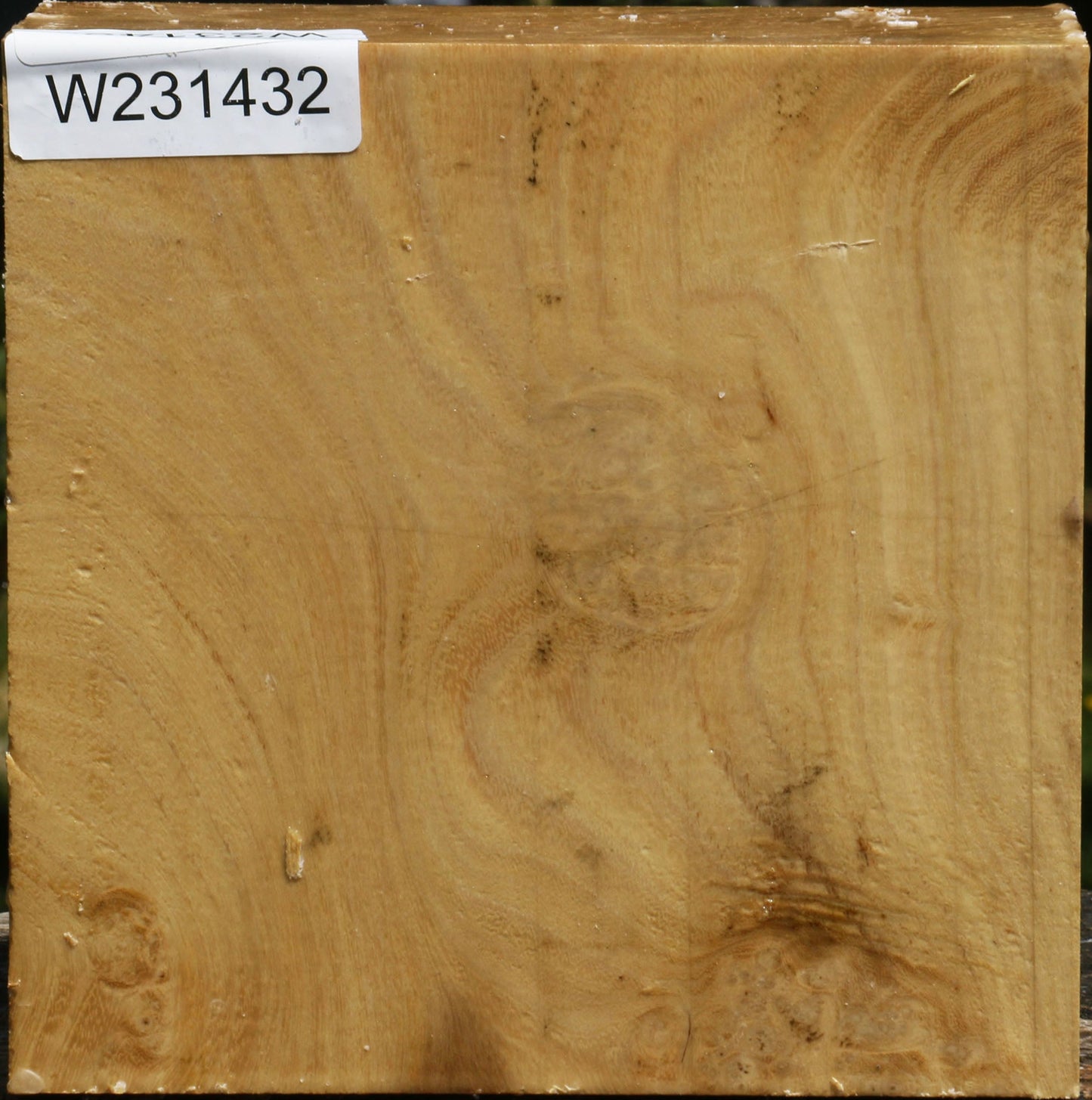 Black Locust Bowl Blank