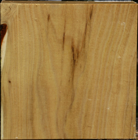 Black Locust Bowl Blank