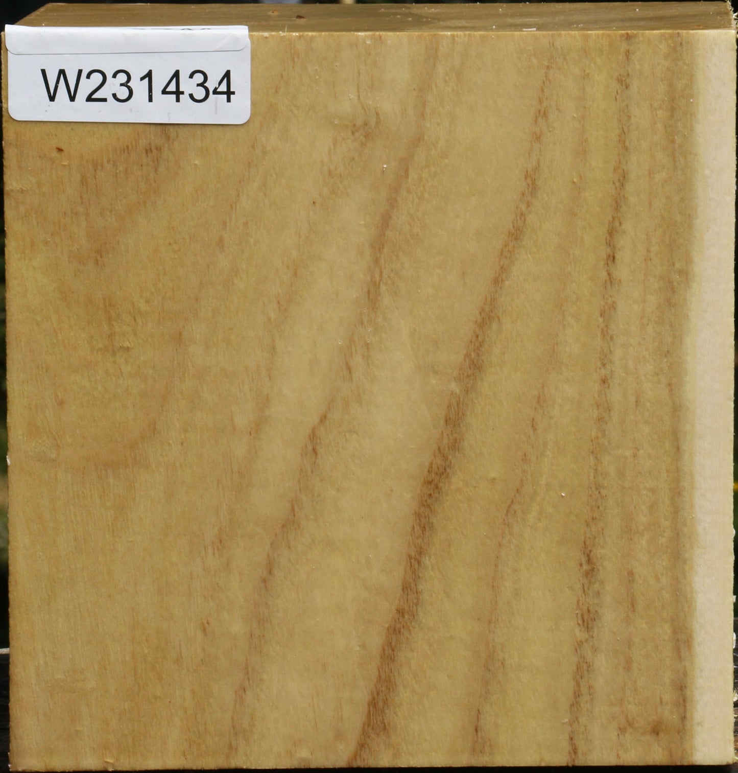 Black Locust Bowl Blank