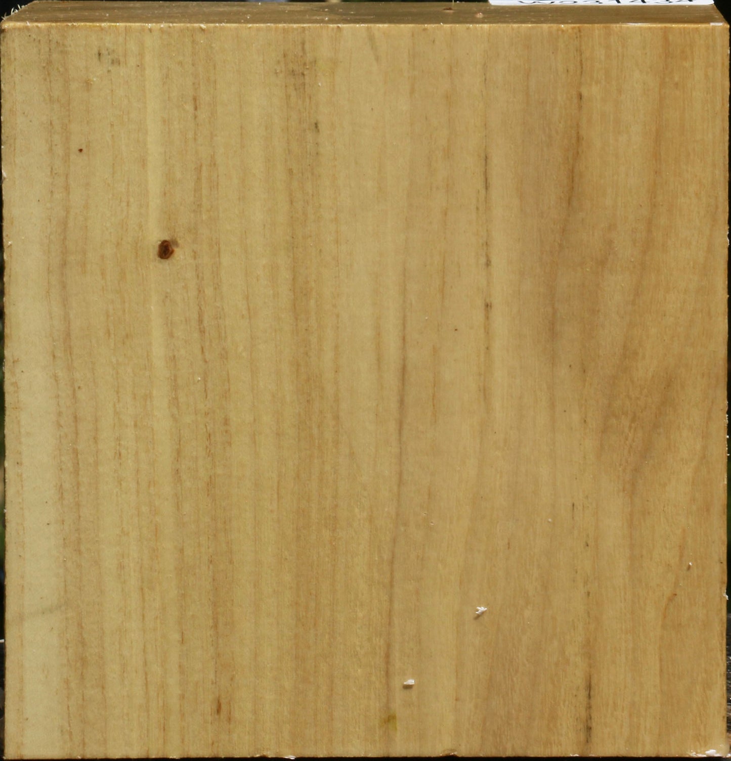 Black Locust Bowl Blank