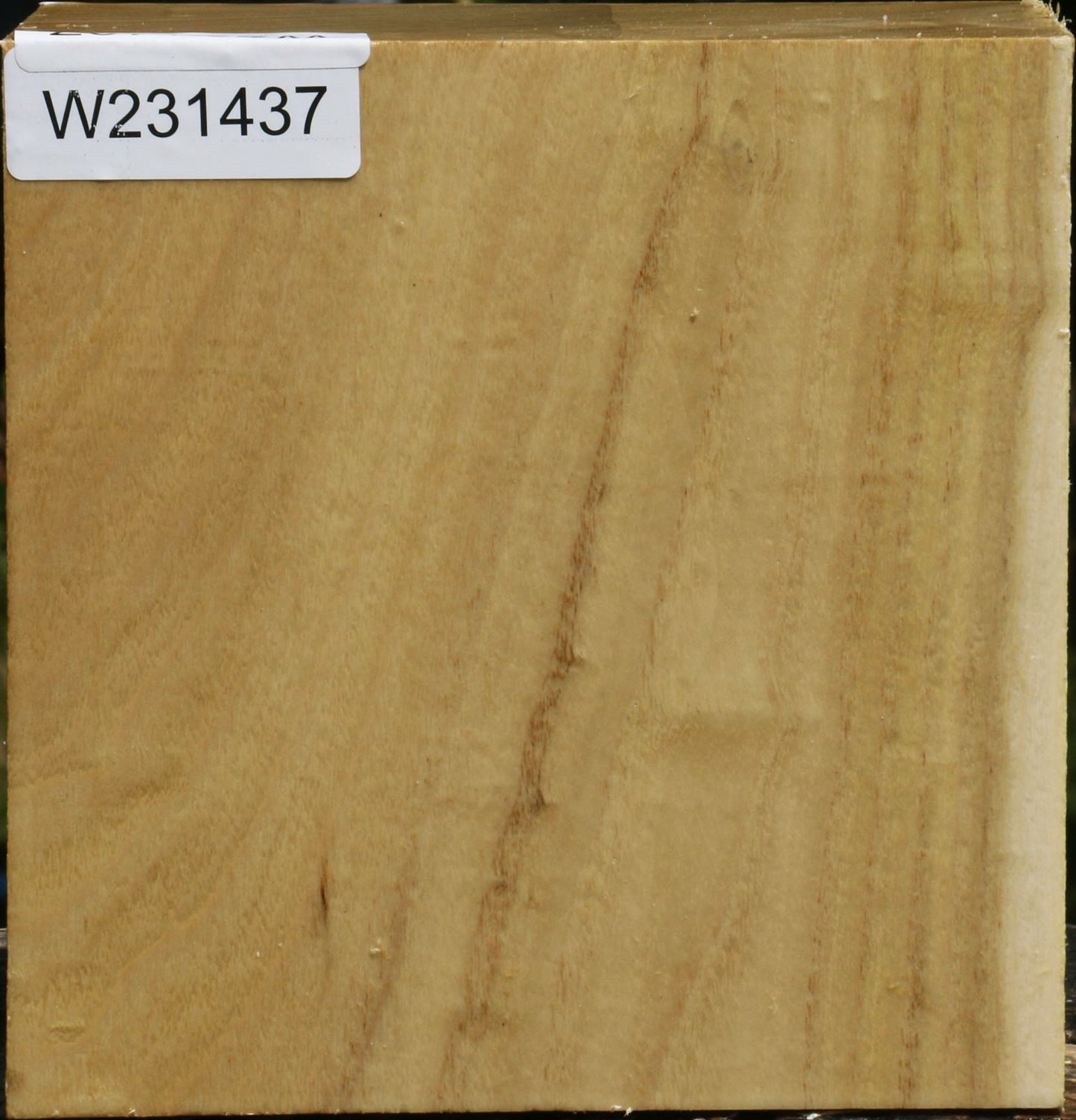 Black Locust Bowl Blank