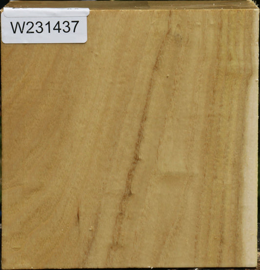 Black Locust Bowl Blank