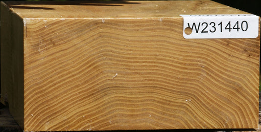 Black Locust Bowl Blank