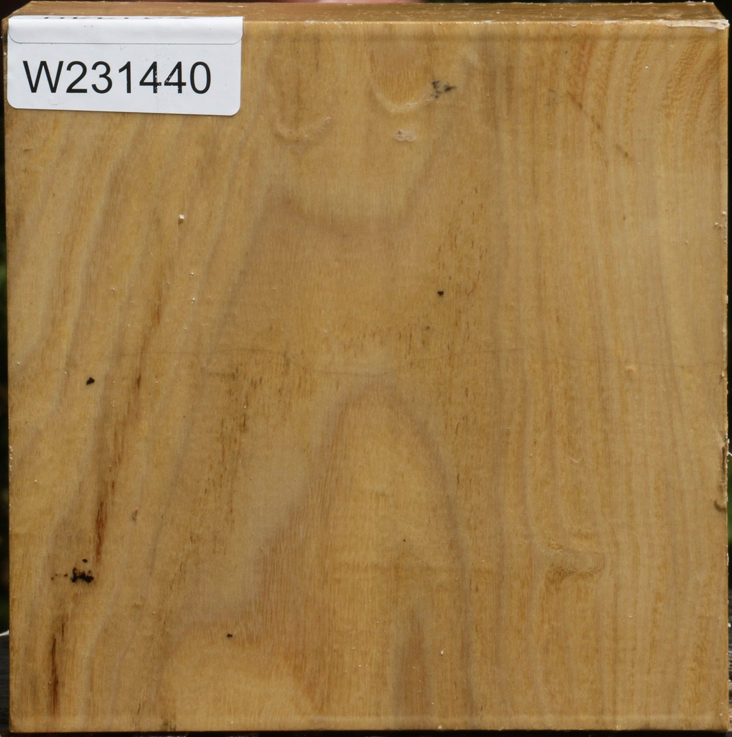 Black Locust Bowl Blank