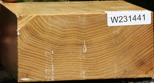 Black Locust Bowl Blank