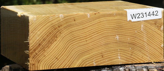 Black Locust Bowl Blank