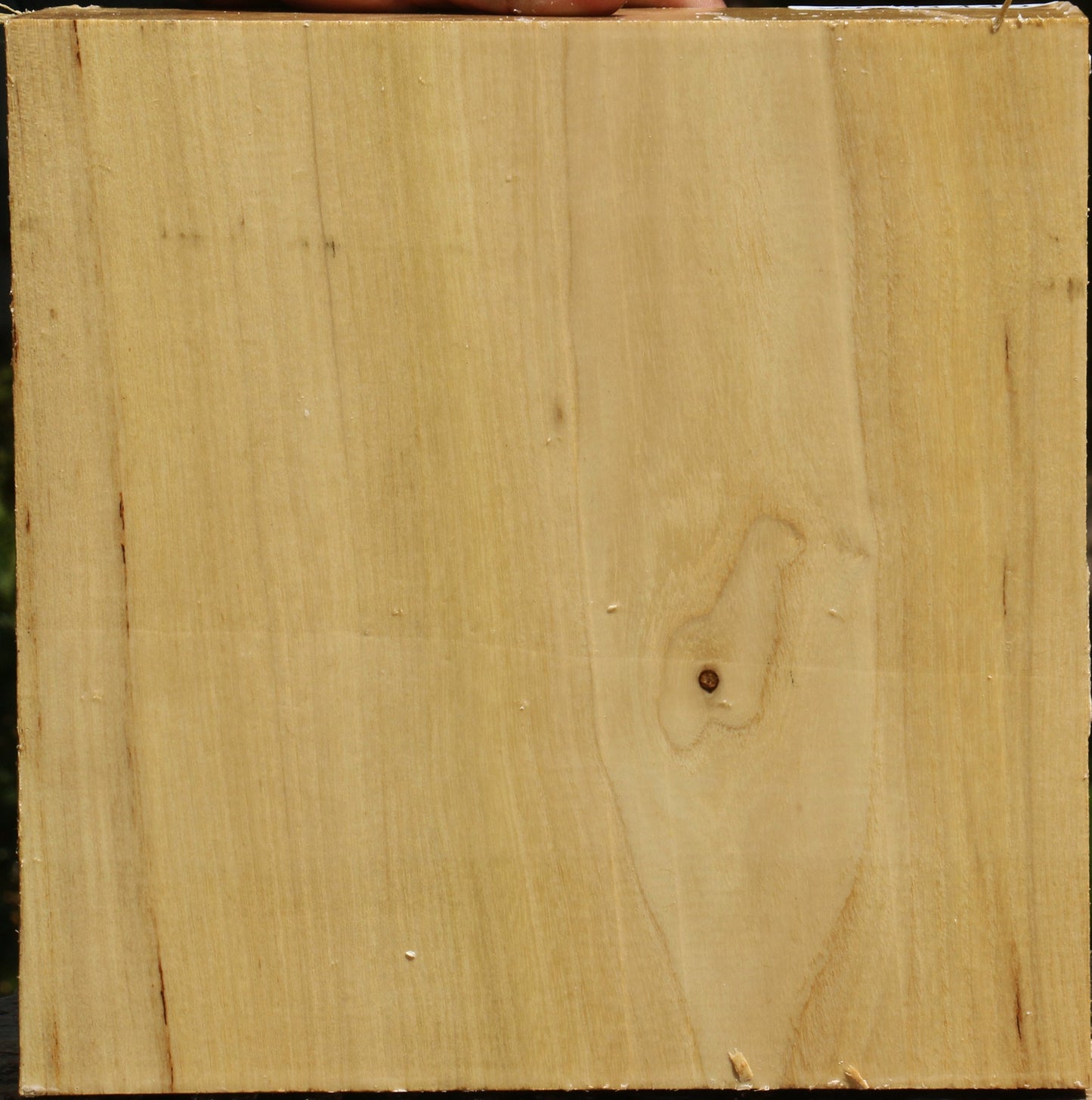 Black Locust Bowl Blank