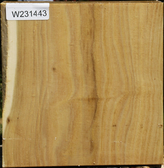 Black Locust Bowl Blank