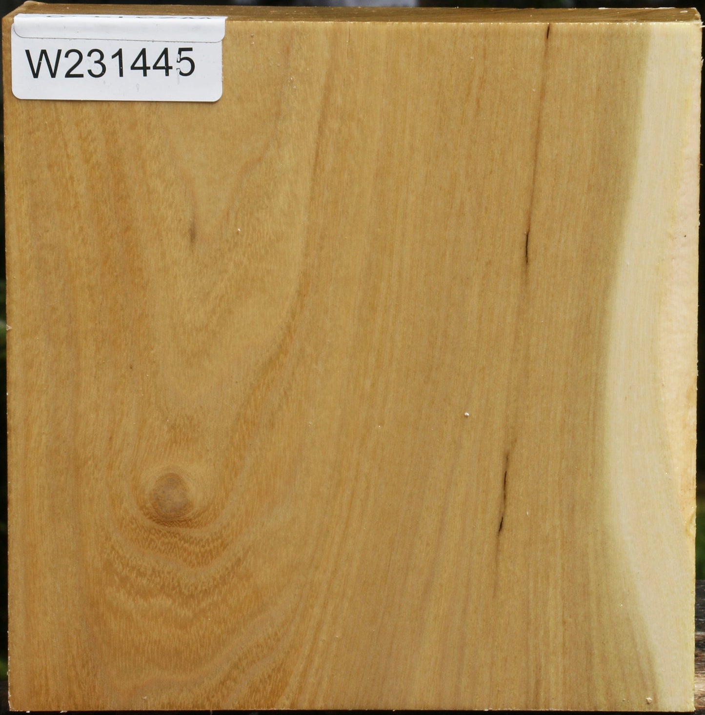 Black Locust Bowl Blank