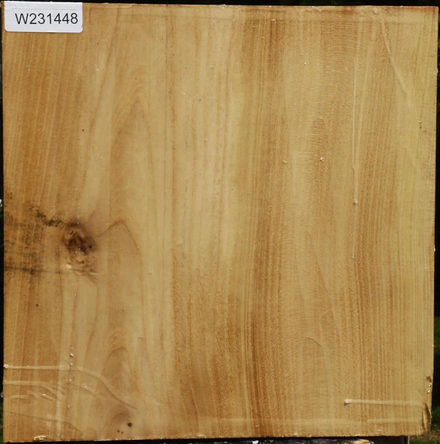 Black Locust Bowl Blank