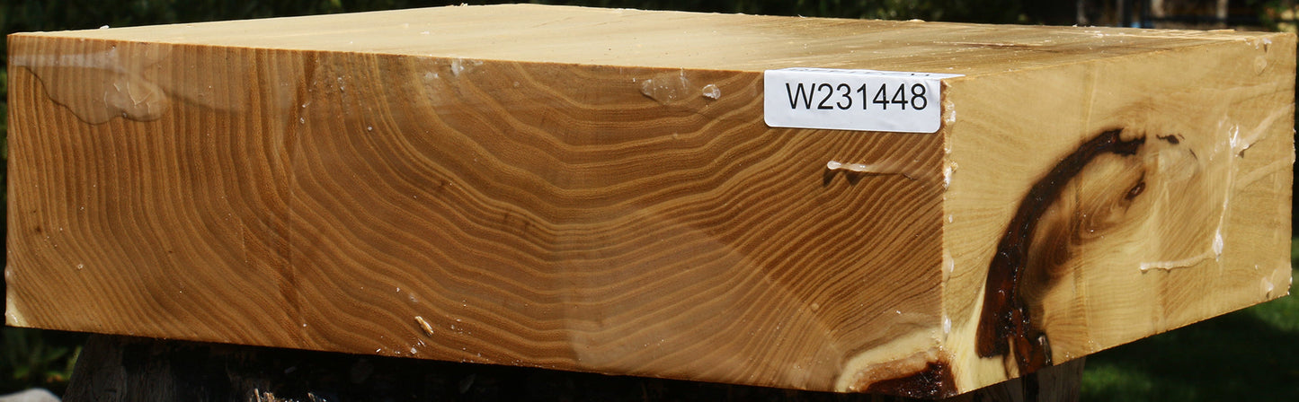 Black Locust Bowl Blank