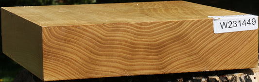 Black Locust Platter Blank