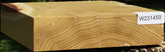Black Locust Platter Blank