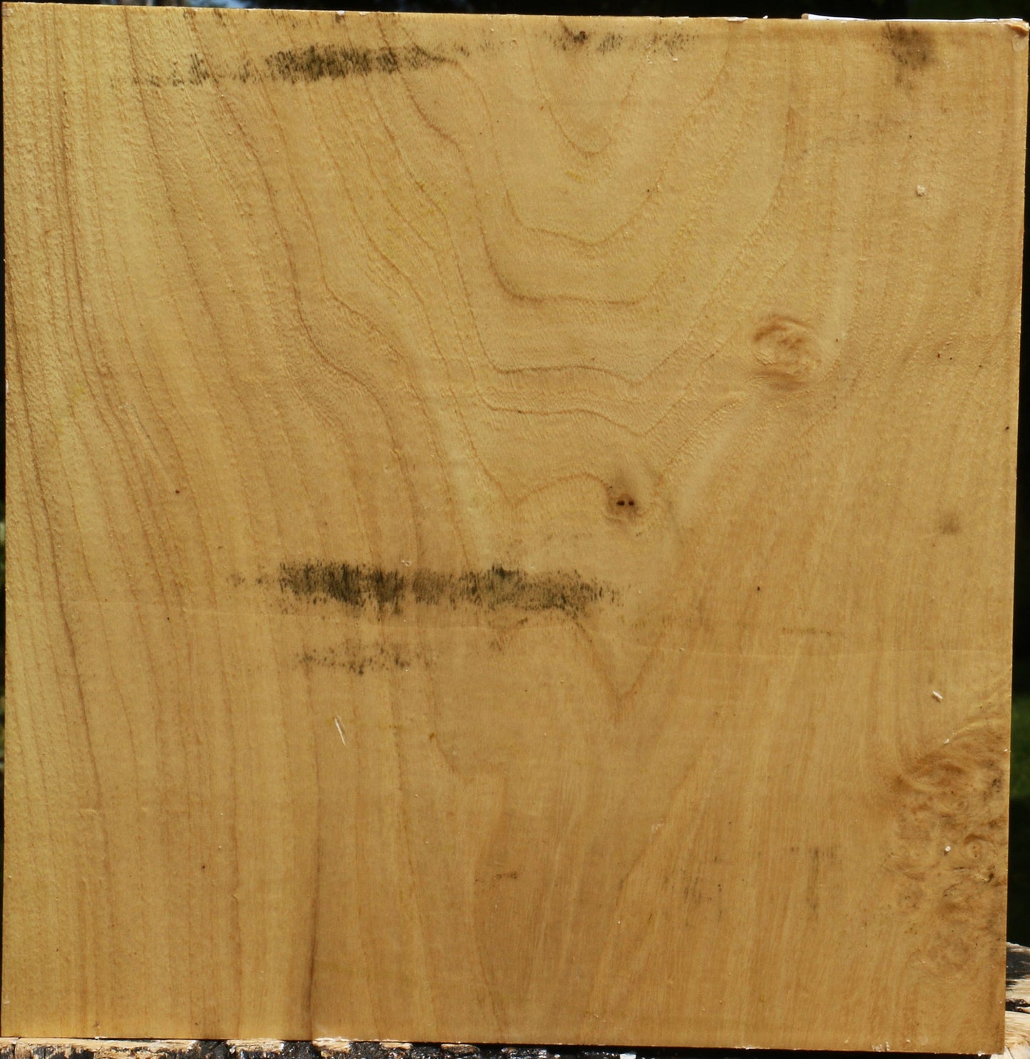 Black Locust Platter Blank