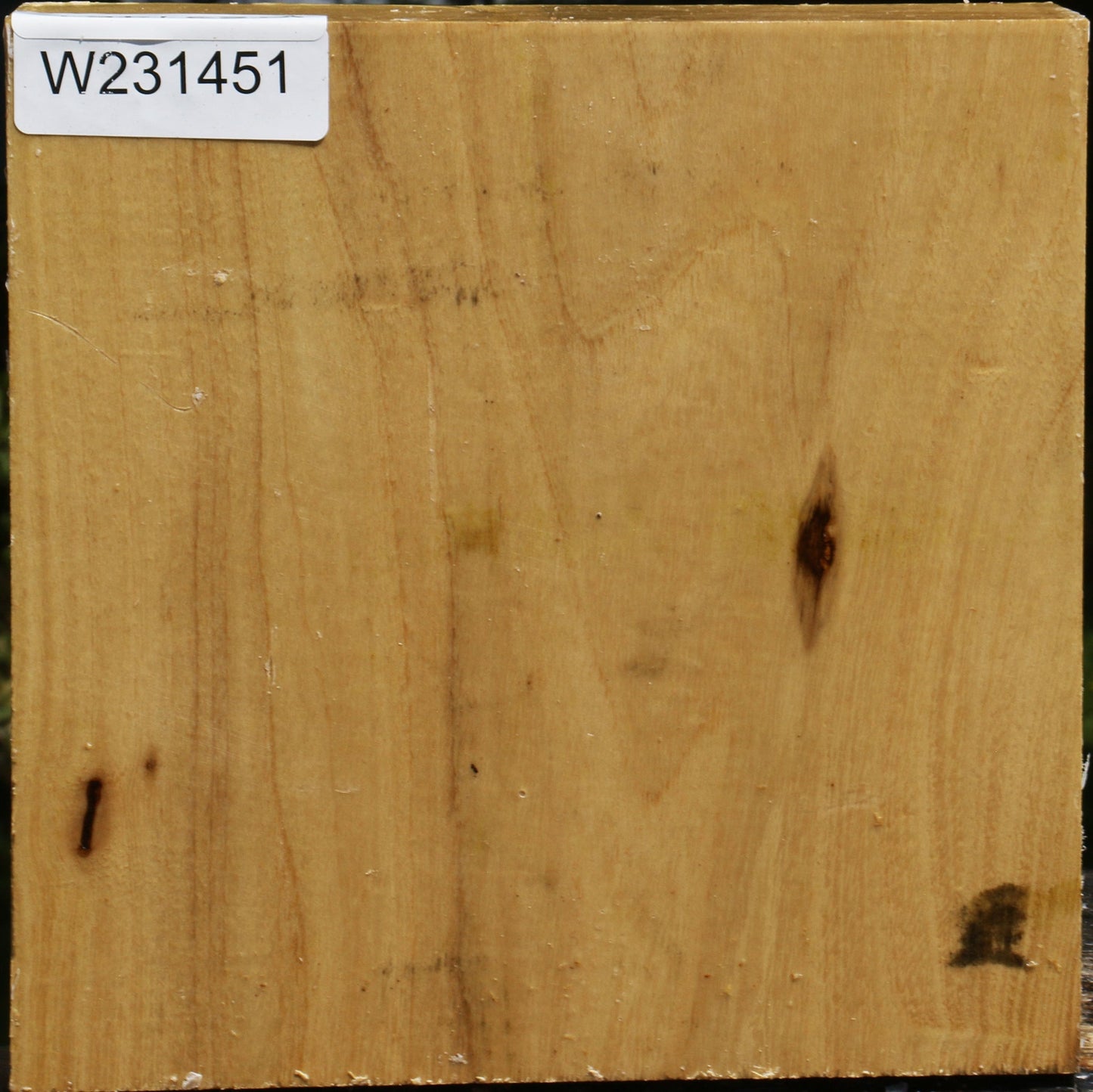 Black Locust Bowl Blank