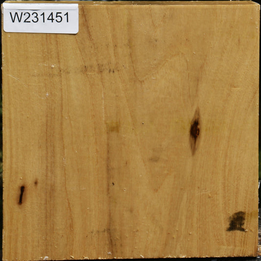 Black Locust Bowl Blank