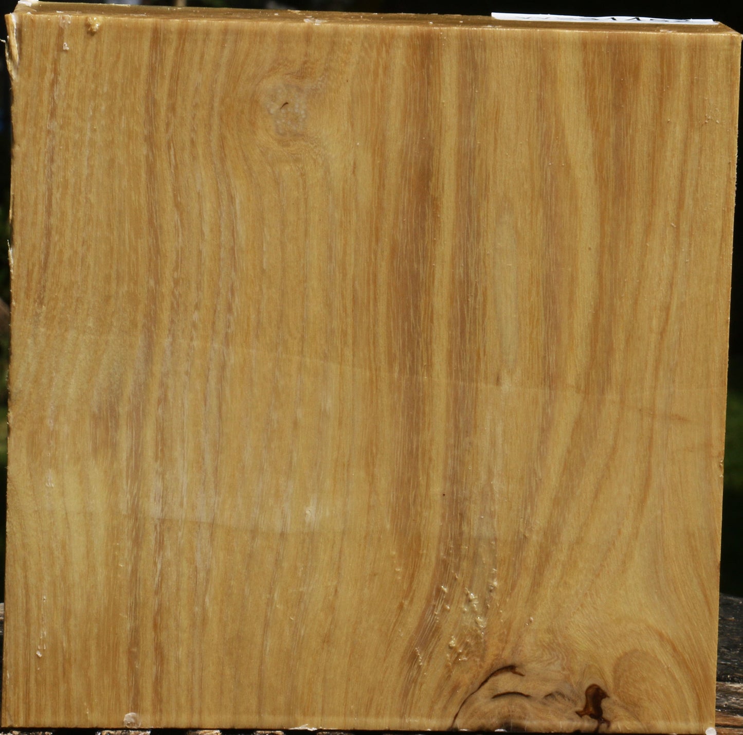 Figured Black Locust Bowl Blank