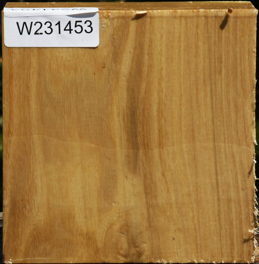 Black Locust Bowl Blank