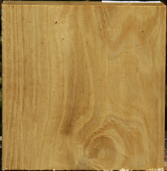 Black Locust Bowl Blank