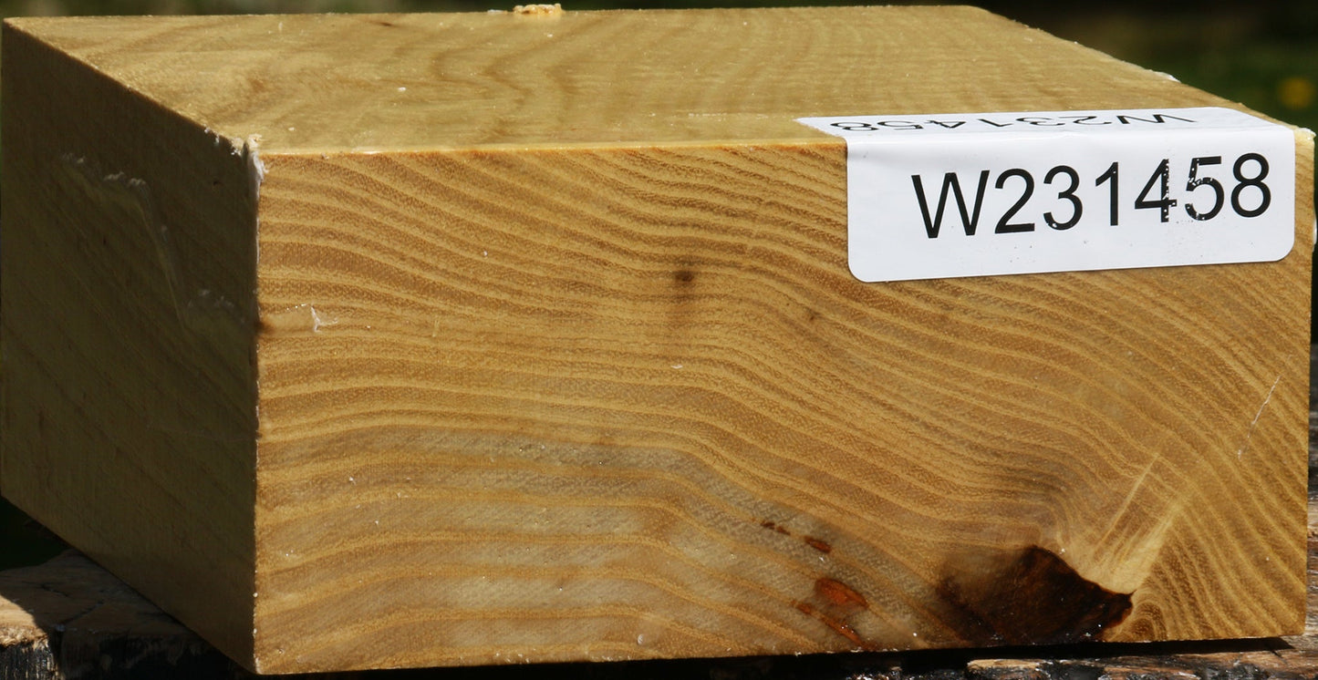 Black Locust Bowl Blank