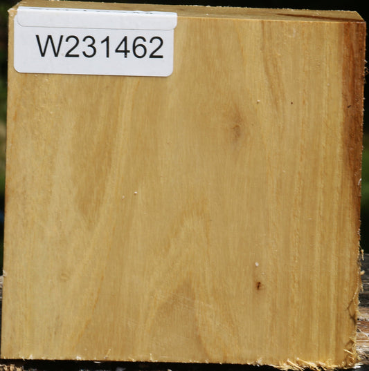 Black Locust Bowl Blank