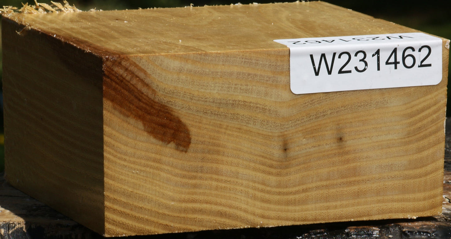 Black Locust Bowl Blank