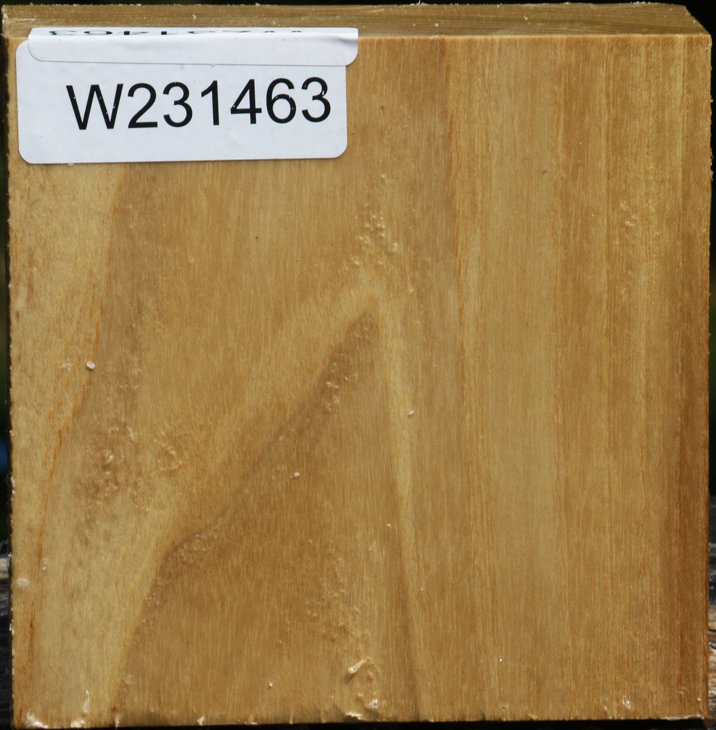 Black Locust Bowl Blank