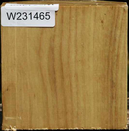 Black Locust Bowl Blank