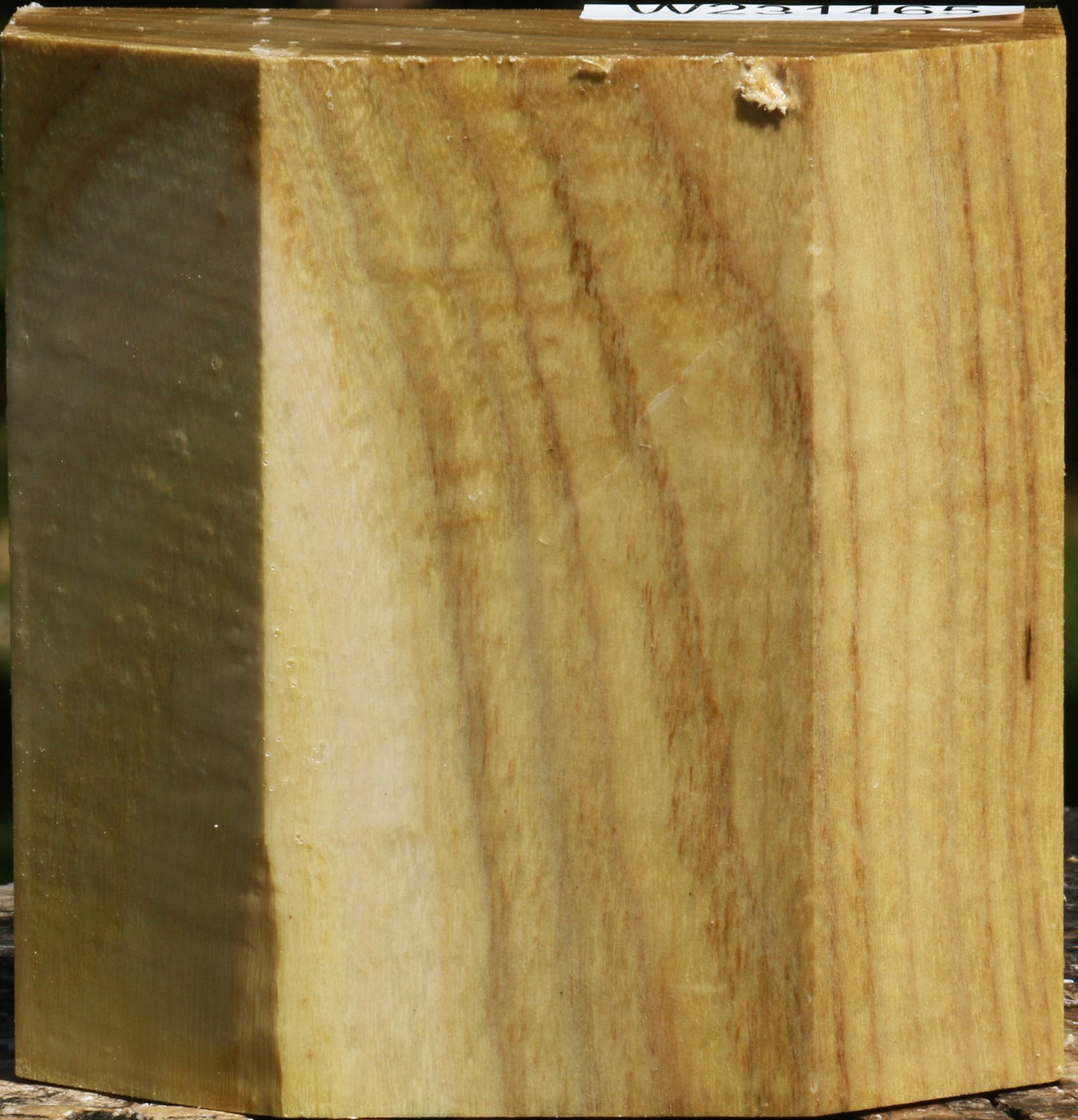Black Locust Bowl Blank
