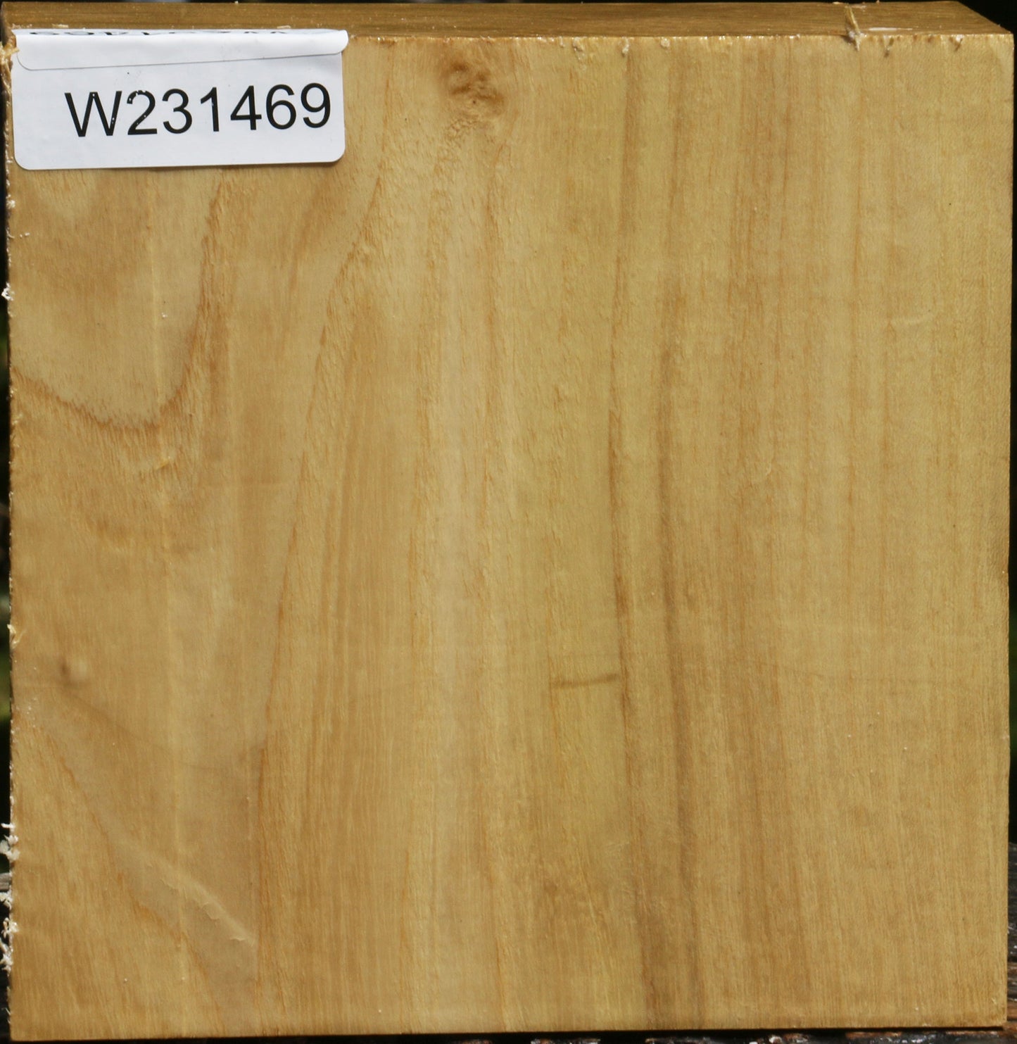 Black Locust Bowl Blank